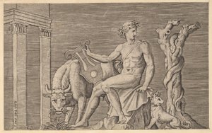 Speculum Romanae Magnificentiae: Apollon gardant les troupeaux d