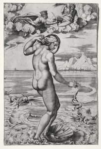 La Naissance de Vénus - Marco Dente