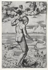 La Naissance de Vénus, vers 1516 - Marco Dente