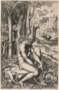Vénus blessée par une épine de rose