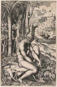 Vénus blessée par une épine de rose