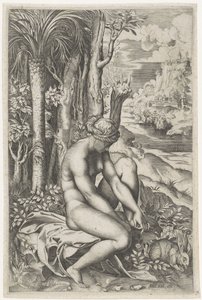 Vénus blessée par l