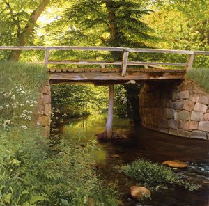 Un ruisseau forestier avec un pont en bois - Marcus Bech Fritz