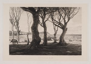 Paysage du Jutland - Marcus Bech Fritz