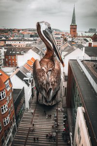  - Marcus Hennen