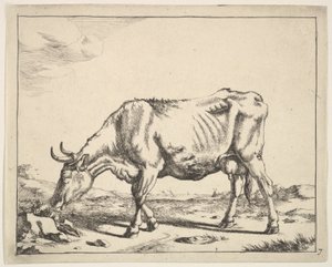 Vache, d