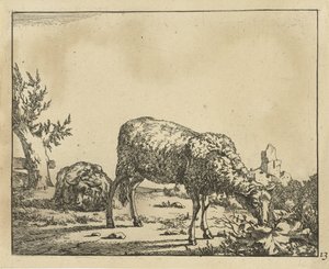 Mouton broutant et mouton couché près d