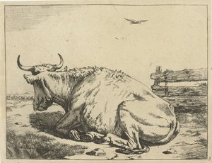 Vache couchée près d