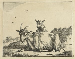 Chèvre couchée avec un agneau - Marcus de Bye
