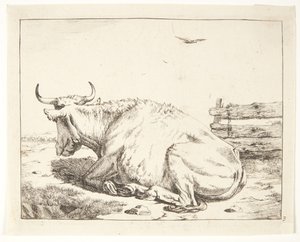 Vache couchée