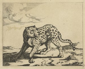 Léopard, debout à gauche, la tête à droite (série: Léopards)