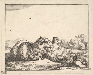 Moutons, d