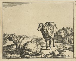Mouton debout et couché avec ferme en arrière-plan (Schapen)