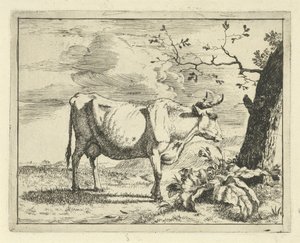 Vache debout près d