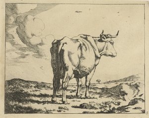 Vache debout vue de dos (Ruminants) - Marcus de Bye