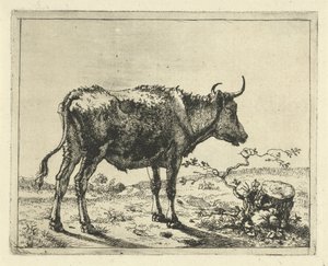 Taureau debout près d