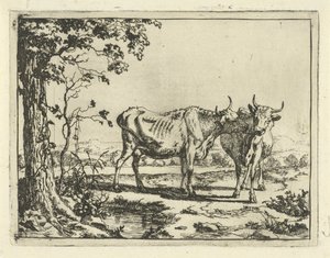 Deux vaches se léchant (Bovins et porcs) - Marcus de Bye