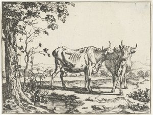 Deux vaches se léchant - Marcus de Bye