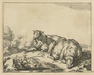 Deux moutons couchés près d