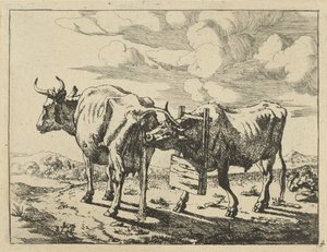 Deux vaches debout
Vaches et moutons (titre de la série)