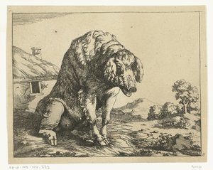 Zeug zittend op achterpoten - Marcus de Bye
