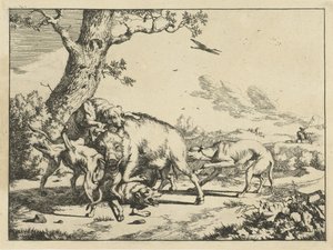 Sanglier attaqué par quatre chiens de chasse - Marcus de Bye