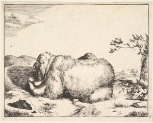 de la série des Ours, vers 1664 - Marcus de Bye