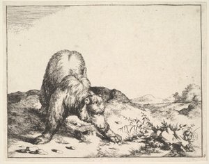de La série des ours, vers 1664 - Marcus de Bye