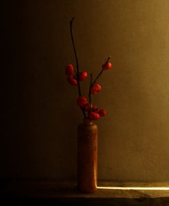 Nature morte aux baies rouges
