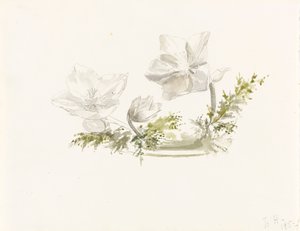 Étude d