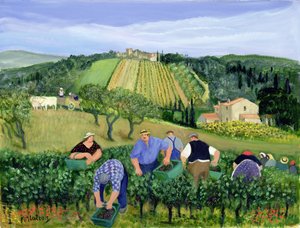 Vignoble, olives et tournesols