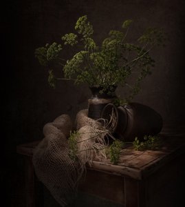 Nature morte botanique sombre - Margareth Perfoncio