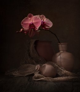 Nature morte à l