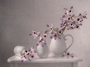 Nature morte délicate à l