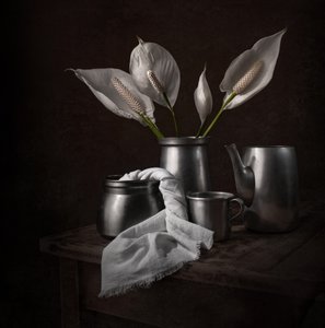 Élégants lis de la paix - Margareth Perfoncio