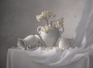 Nature morte blanche élégante - Margareth Perfoncio