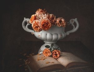 Roses mélancoliques et vieux livre - Margareth Perfoncio