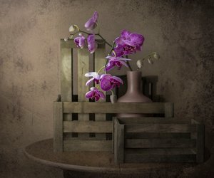  - Margareth Perfoncio
