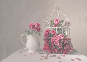 Des roses et une cage à oiseaux