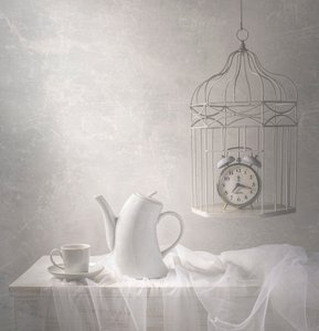 Le temps passé en cage - Margareth Perfoncio