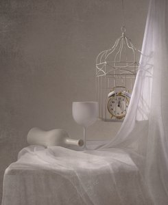 Nature morte blanche intemporelle - Margareth Perfoncio