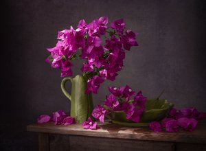 Nature morte aux bougainvilliers aux couleurs vives - Margareth Perfoncio