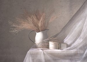Pichet blanc et herbe séchée