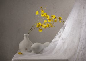 Nature morte aux orchidées jaunes