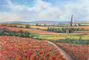 Champ de coquelicots de Cotswold, 2022