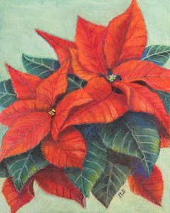 Poinsettias, 2022 - Margo Starkey