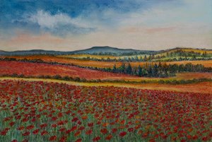 Champs de coquelicots, Flandres