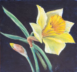 La beauté d