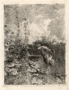 Le Botaniste