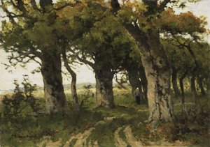 Allée de chênes à la fin de l